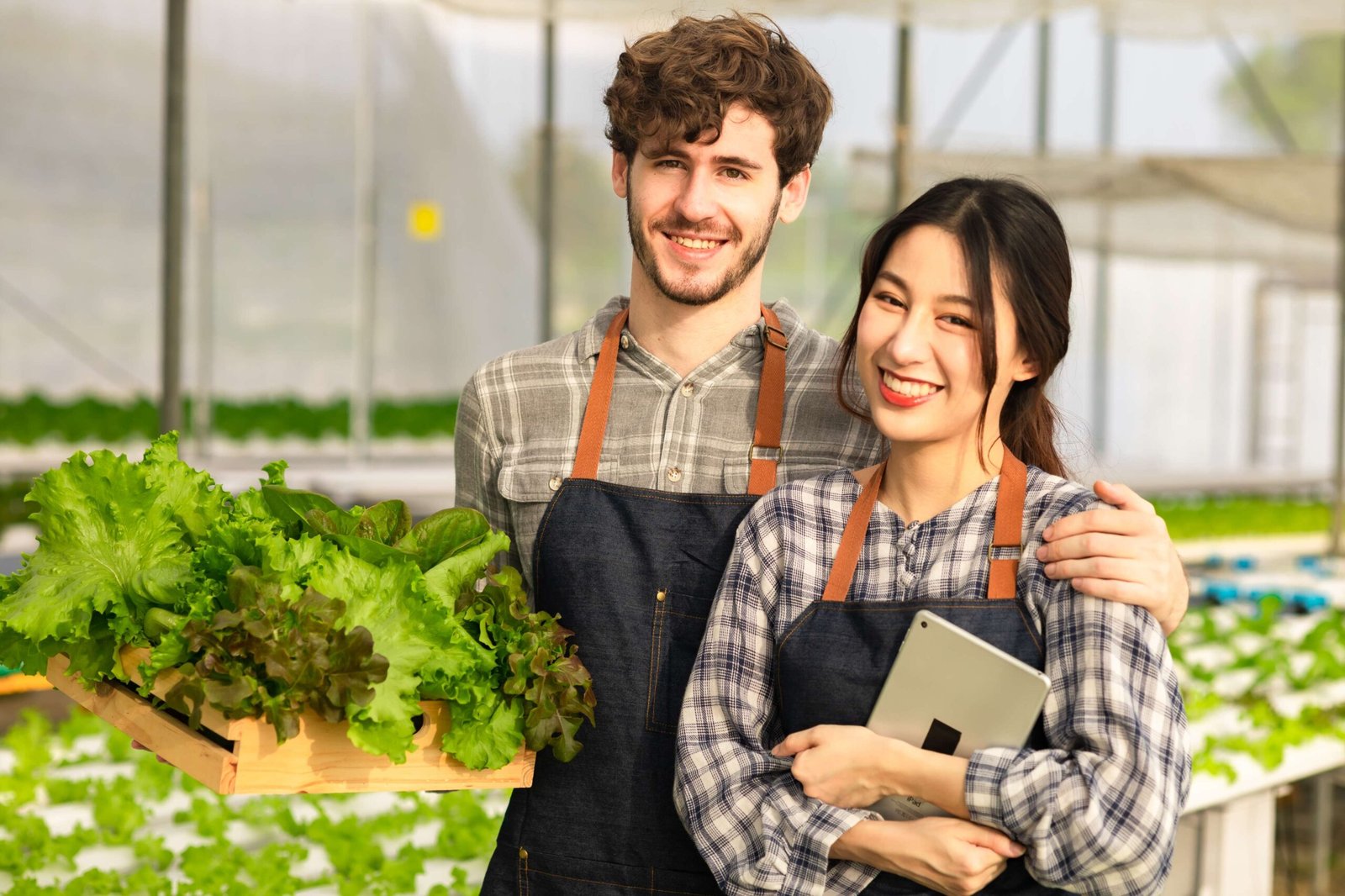 Whitestone Certificate in Sustainable Agriculture and Agribusiness Management Scope scaled